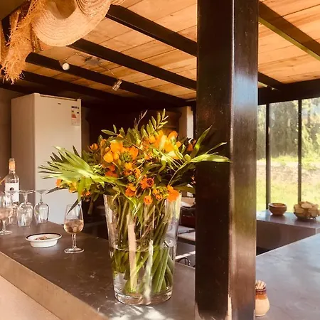 Au Bout Du Pré Maison d'hôtes Pézenas